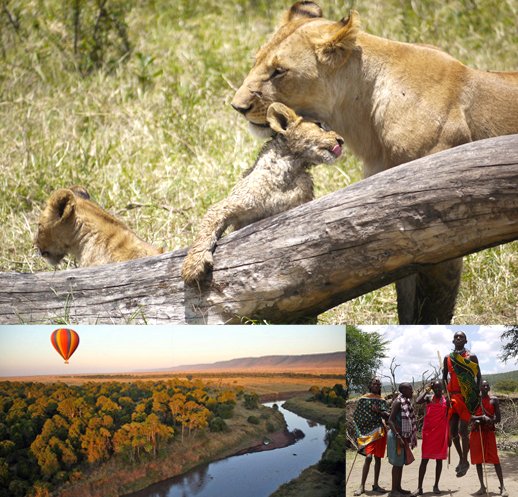 マサイマラ動物保護