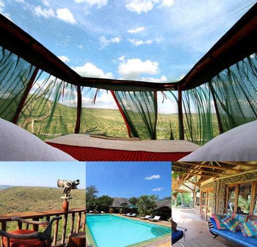 ロイサバ動物保護区