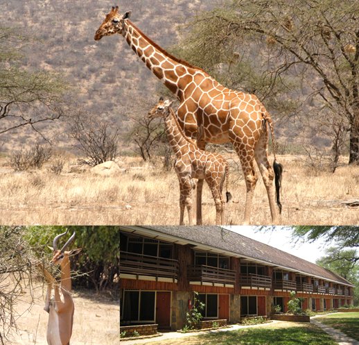 サンブール動物保護区