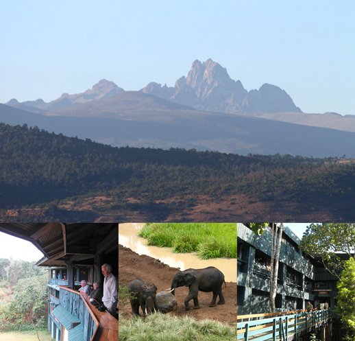 ケニア山国立公園