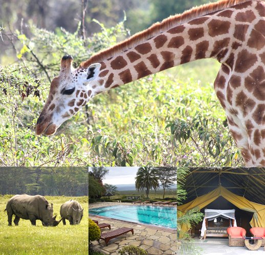 ナクル湖国立公園